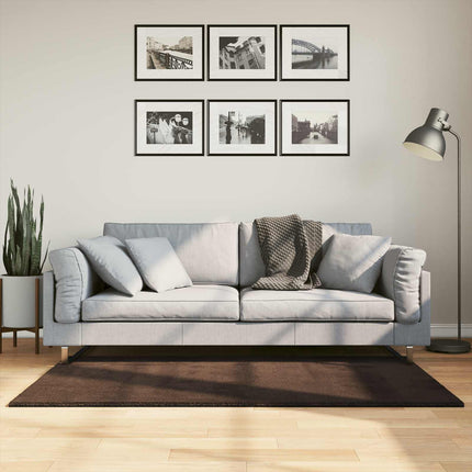 Mellanhög mjuk och tvättbar matta HUARTE Brun 150 x 80 cm
