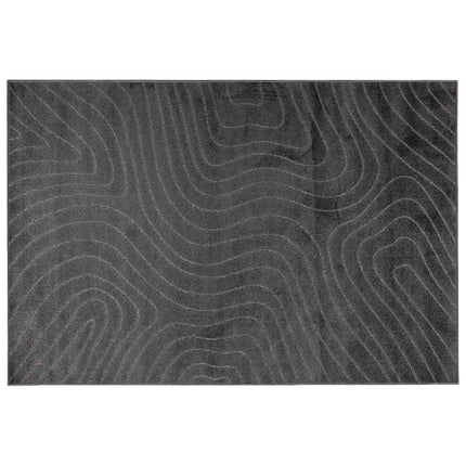 Områdesmattor PALMERAS Antracit 230 x 160 cm Polyester