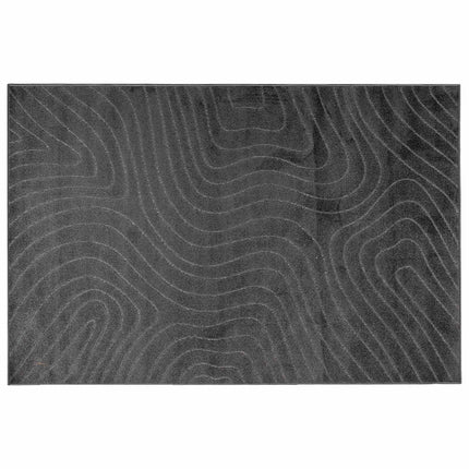 Områdesmattor PALMERAS Antracit 340 x 240 cm Polyester