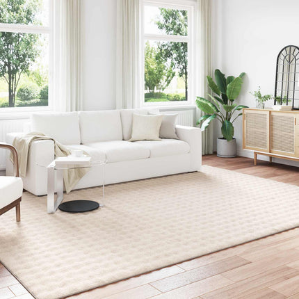 Områdesmattor Rektangulär SIROLO Beige 340 x 240 cm Polyester