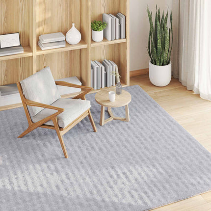 Områdesmattor Fyrkantig SIROLO Grå 200 x 200 cm Polyester