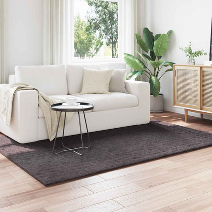Områdesmattor Rektangulär SIROLO Antracit 170 x 120 cm