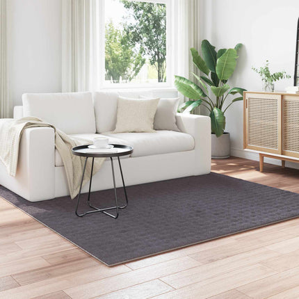 Områdesmattor Fyrkantig SIROLO Antracit 200 x 200 cm Polyester