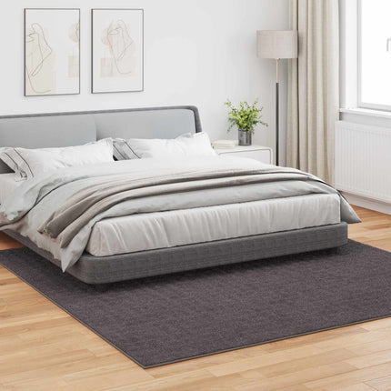 Områdesmattor Fyrkantig SIROLO Antracit 240 x 240 cm Polyester