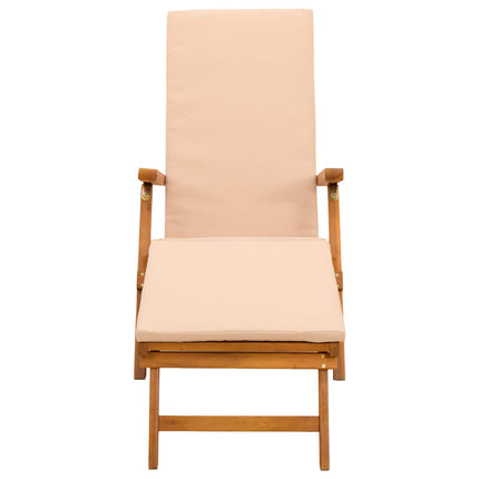 Reclining och Fällbar Solstol 55 x 146 x 91 cm