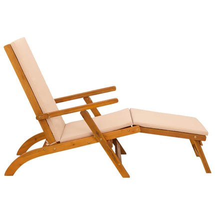 Reclining och Fällbar Solstol 55 x 146 x 91 cm
