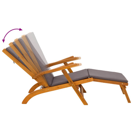 Reclining och Fällbar Solstol 2 pcs Grå 55 x 146 x 91 cm