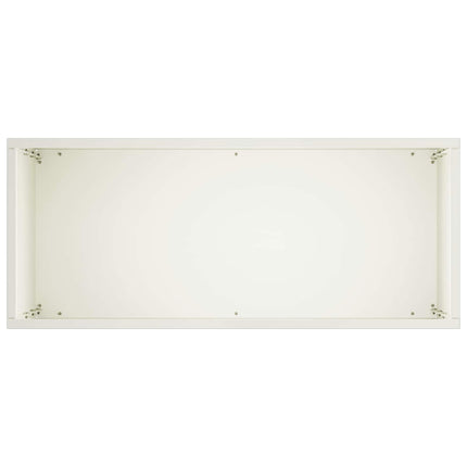 Trädgårdsplanterare Vit 40 x 20 x 75 cm Kallvalsat stål