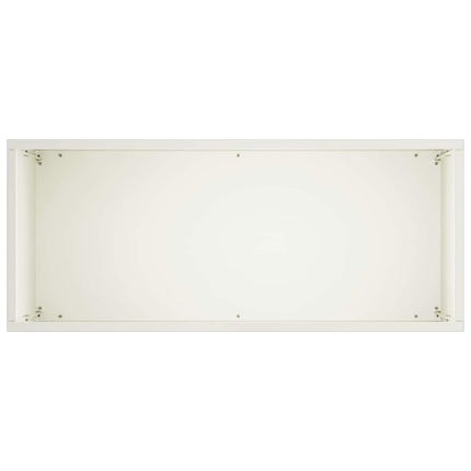 Trädgårdsplanterare Vit 50 x 20 x 40 cm Kallvalsat stål