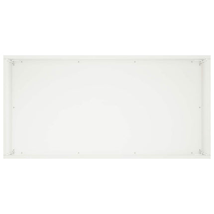 Trädgårdsplanterare Vit 60 x 30 x 40 cm Kallvalsat stål