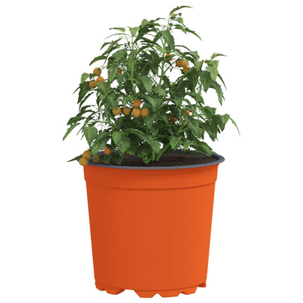 Rund Blomkruka 50 st Terracotta Ø 15 x 13 cm Plast