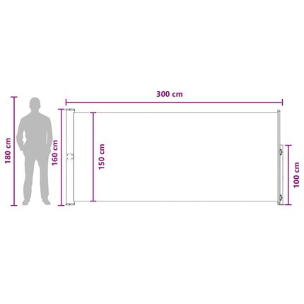 Utfällbar sidomarkis Antracit 300 x 160 cm Polyester
