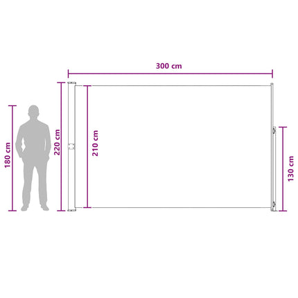 Utfällbar sidomarkis Antracit 300 x 220 cm Polyester