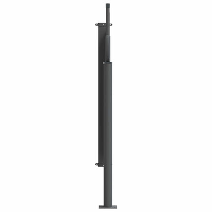 Utfällbar sidomarkis 300 x 100 cm Polyester Rektangulär Grå
