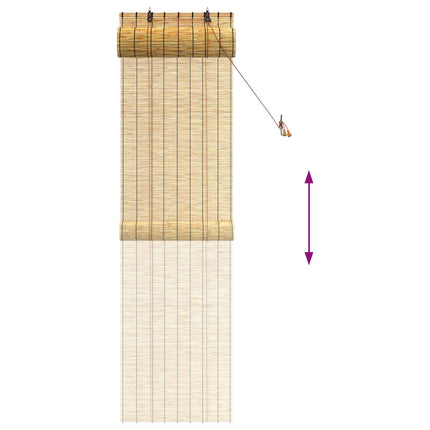 Rullgardin Naturlig 60 x 220 cm Vass