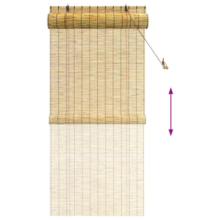 Rullgardin Naturlig 100 x 220 cm Vass