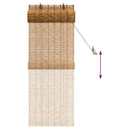 Rullgardin Brun 60 x 160 cm Vass