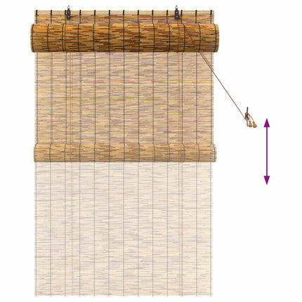 Rullgardin Brun 100 x 160 cm Vass