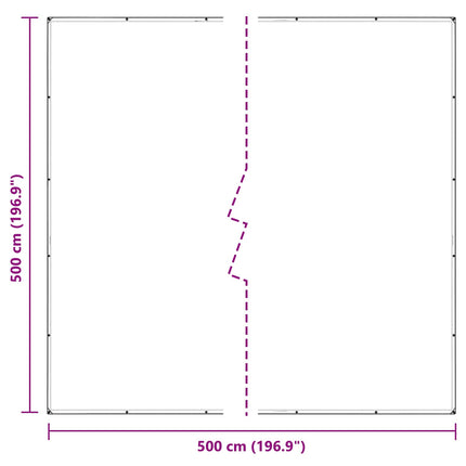 Tarpaulin med öglor Transparent 5 x 5 m polyeten