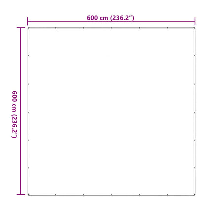 Växtskydd Transparent 6 x 6 m PE