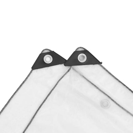 Växtskydd Transparent 6 x 10 m PE