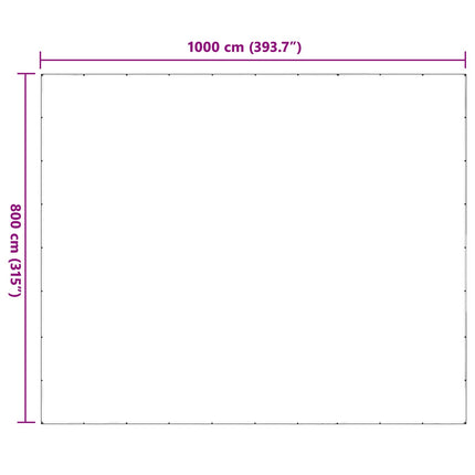 Växtskydd Transparent 8 x 10 m PE