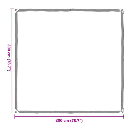 Växtskydd Transparent 2 x 2 m PE