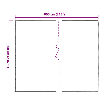 Växtskydd Transparent 6 x 8 m PE