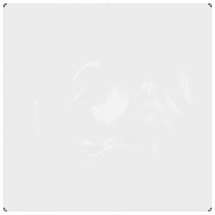 Växtskydd Transparent 2 x 2 m PVC