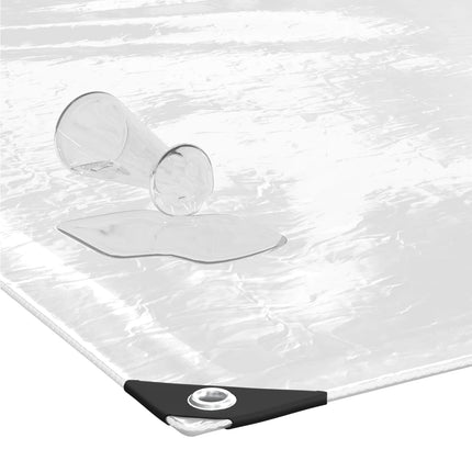Växtskydd Transparent 3 x 4 m PVC