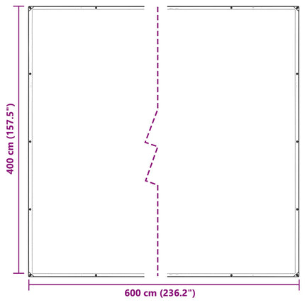 Växtskydd Transparent 4 x 6 m PVC