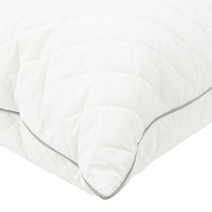 Kudde FULDA 2 st 65 x 65 cm 100% Gåsdun och fjädrar Vit