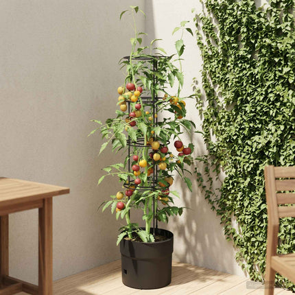 Tomat växtare Svart Ø 32 x 127 cm PP