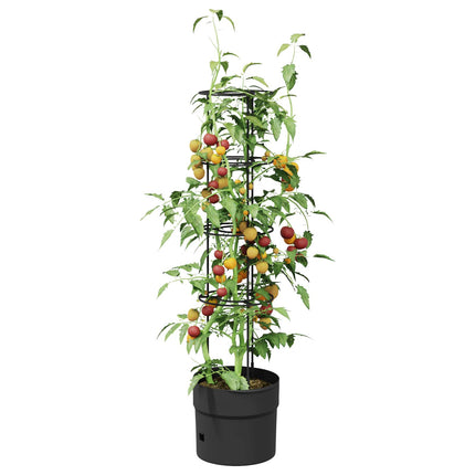 Tomat växtare Svart Ø 32 x 127 cm PP