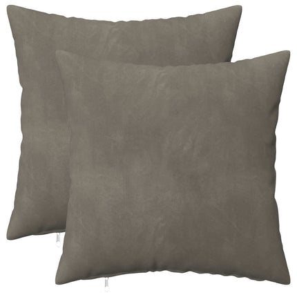 Kasta Kudde 2 st HEERLEN Ljusgrå 50 x 50 cm Sammet