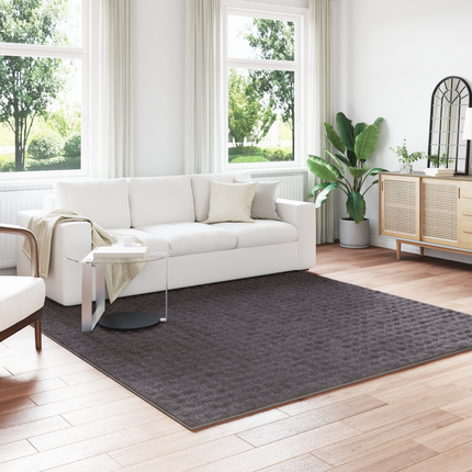 Områdesmattor Fyrkantig SIROLO Antracit 240 x 240 cm Polyester