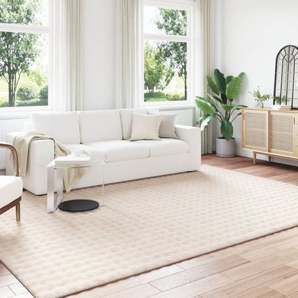 Områdesmattor Rektangulär SIROLO Beige 280 x 200 cm Polyester