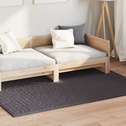 Områdesmattor Rektangulär SIROLO Antracit 170 x 120 cm