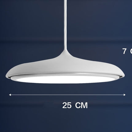 Nordic Modern Simple LED Chandelier Restaurant Chandelier Designer Chandelier