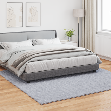 Områdesmattor Fyrkantig SIROLO Grå 240 x 240 cm Polyester