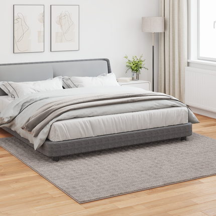 Områdesmattor Fyrkantig SIROLO Sand 240 x 240 cm Polyester