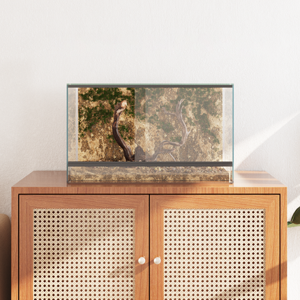 Terrarium med lagring Transparent 50 x 30 x 30 cm Glas