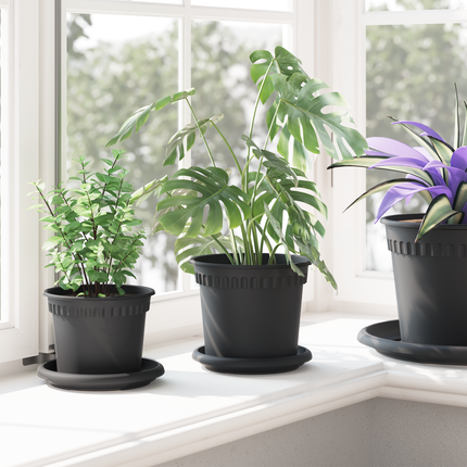 Växtkrukor 24 st Svart Plast