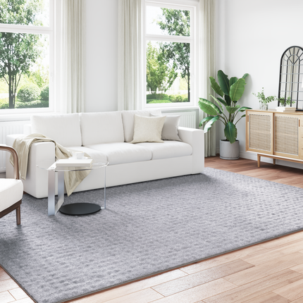 Områdesmattor Rektangulär SIROLO Grå 280 x 200 cm Polyester