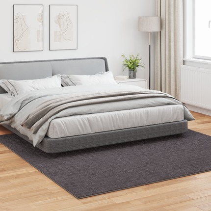 Områdesmattor Fyrkantig SIROLO Antracit 240 x 240 cm Polyester